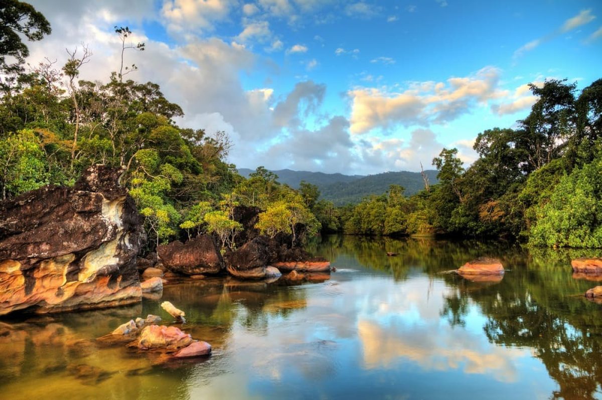 Beautiful,View,Of,The,Tropical,Jungle,River,At,The,Beach