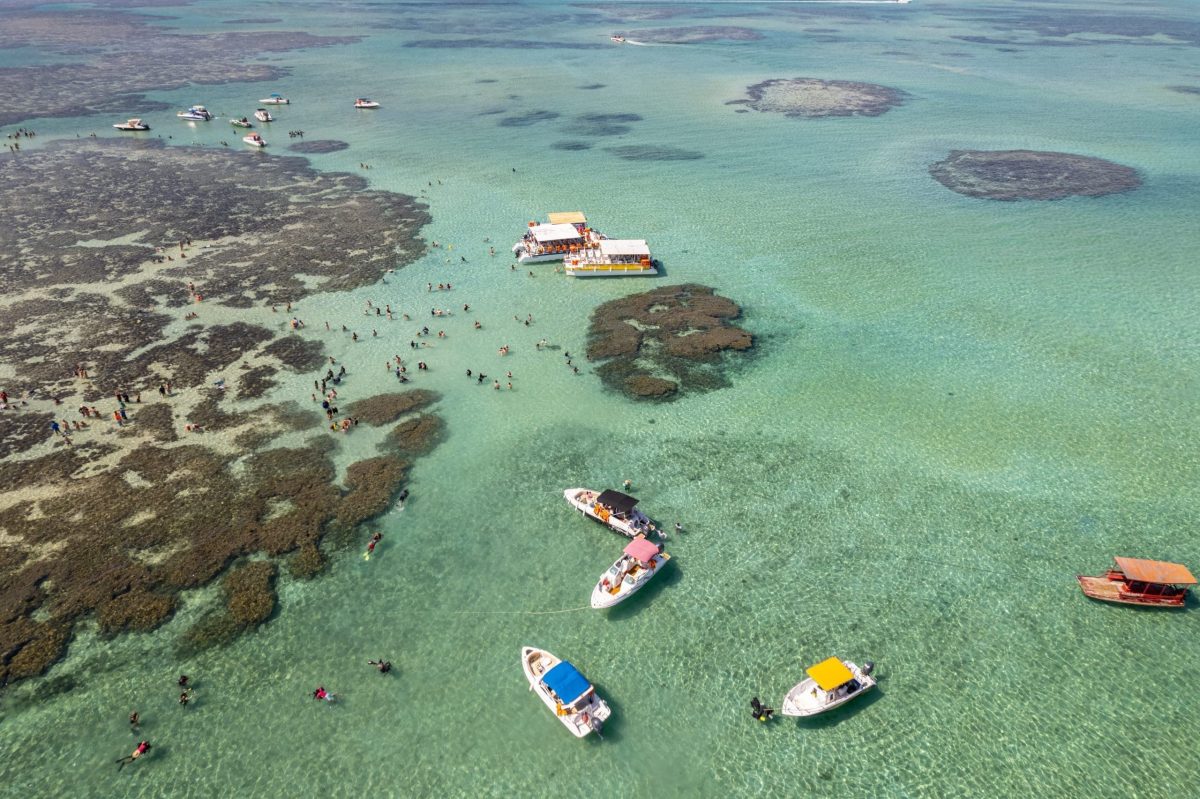 Aerial,View,Of,Reefs,Of,Maragogi,,Coral,Coast,Environmental,Protection