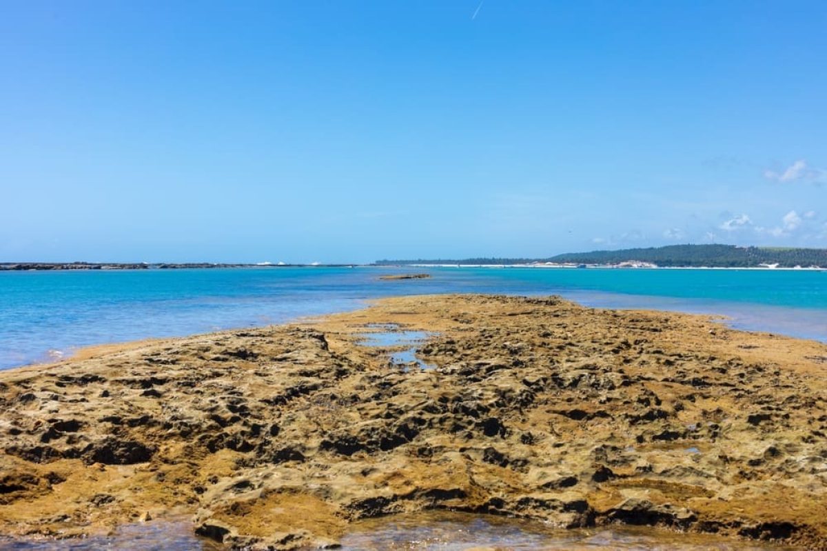 Barra,De,São,Miguel,-,Alagoas,-,Brasil,-,Jan